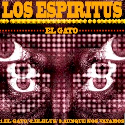 El gato