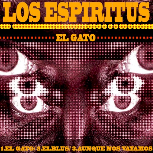 El gato