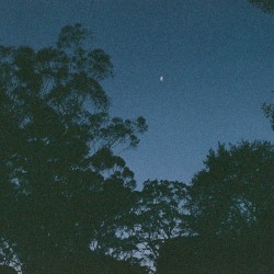 evening ambience