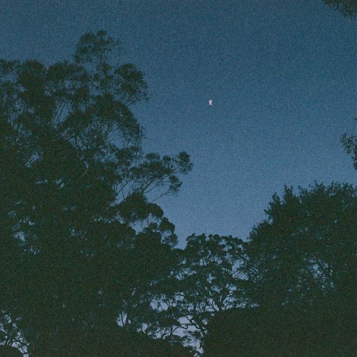 evening ambience