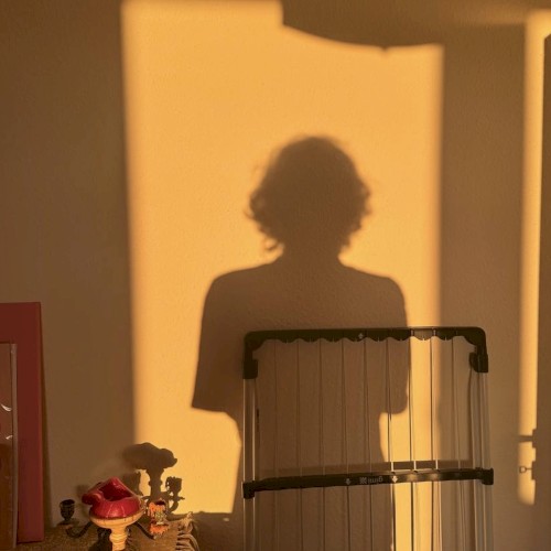 introvertiert
