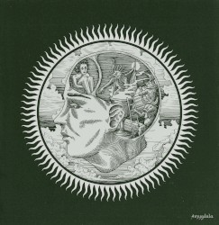 Amygdala