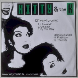 12" Vinyl Promo: