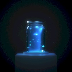 Fireflies