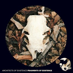 Fragments of Existence