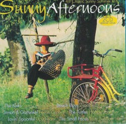 Sunny Afternoon