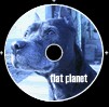 Flat Planet