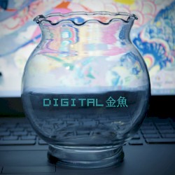 Digital Kingyo