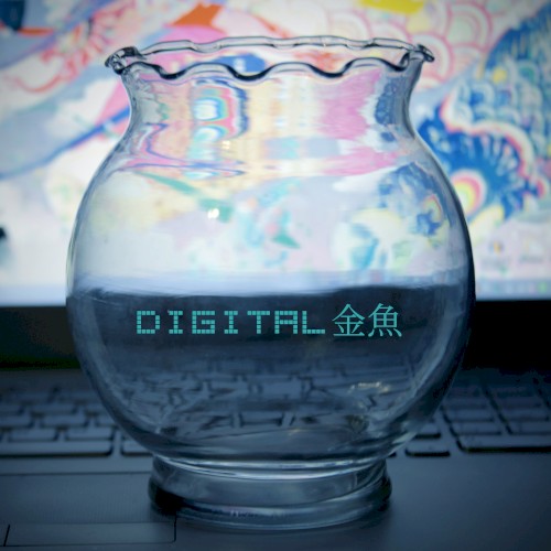 Digital Kingyo