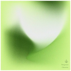 Bergamot