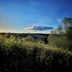 Fading Light