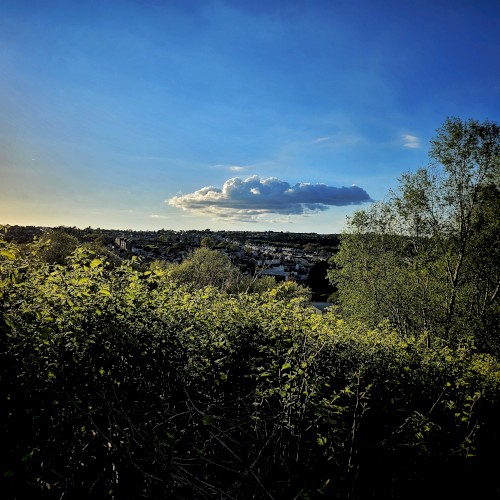 Fading Light