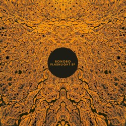 Flashlight EP