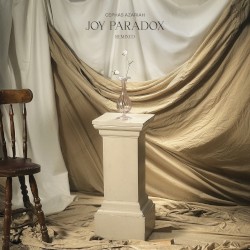 Joy Paradox (Remixed)