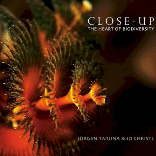 Close-Up (The Heart Of Biodiversity)