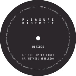 Pleasure District 009