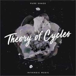 Theory of Cycles