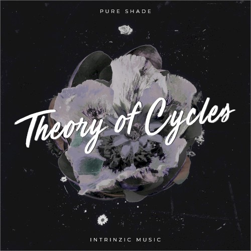 Theory of Cycles