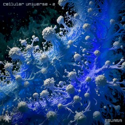 Cellular Universe 2