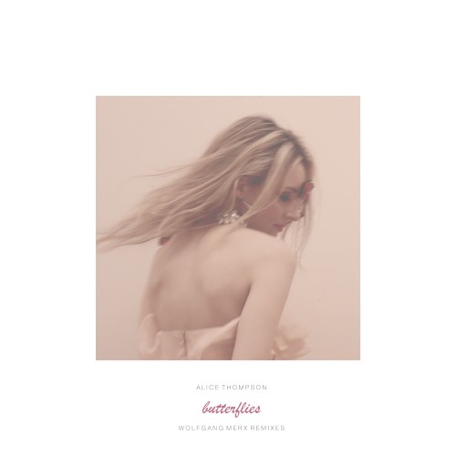 Butterflies - Wolfgang Merx Remixes