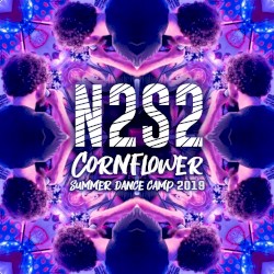 N2S2