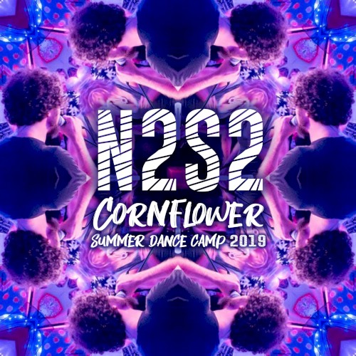 N2S2