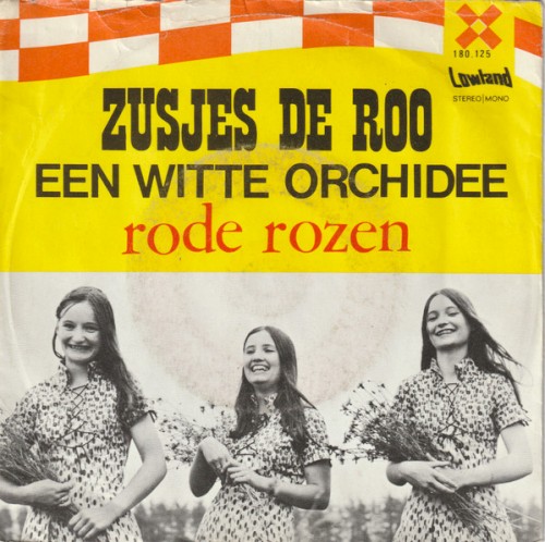 Een witte orchidee