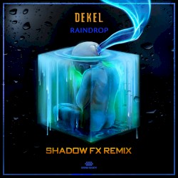 Raindrop (Shadow FX remix)