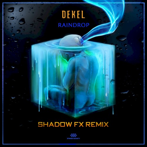 Raindrop (Shadow FX remix)