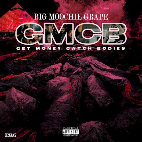 Get Money Catch Bodies