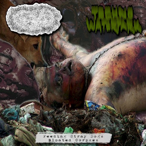 Feeding Stray Dogs Bloated Corpses