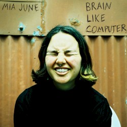 Brain Like Computer