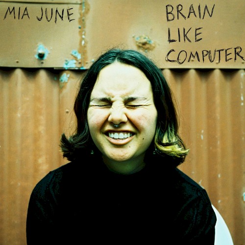 Brain Like Computer