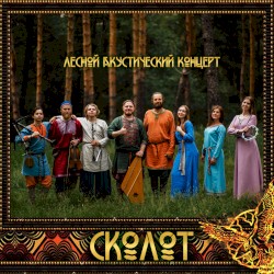 Лесной акустический концерт