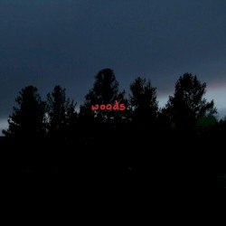 Woods