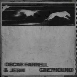 Greyhound