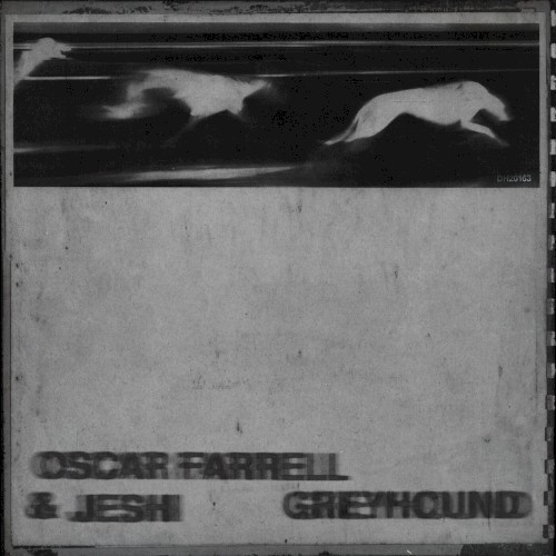 Greyhound