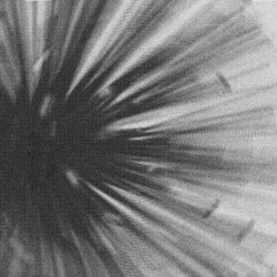 Dimensional