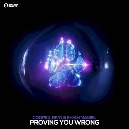 Proving You Wrong