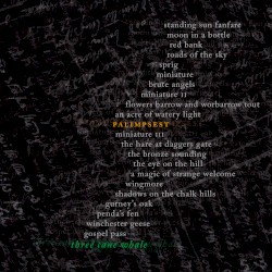 Palimpsest
