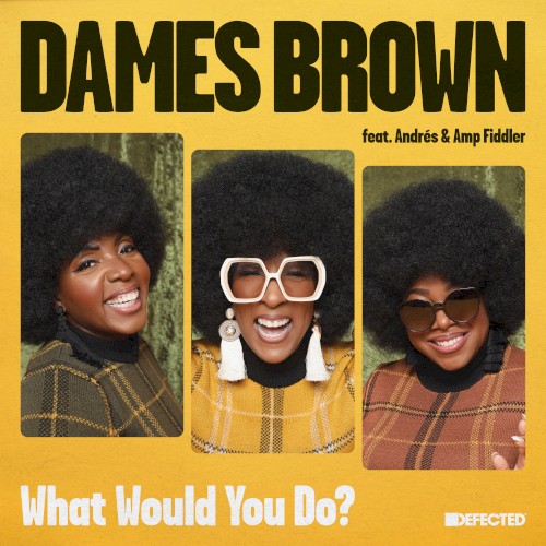 What Would You Do?
