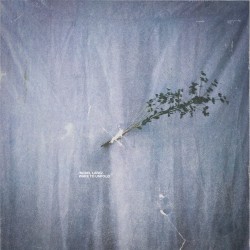 Wake to Unfold
