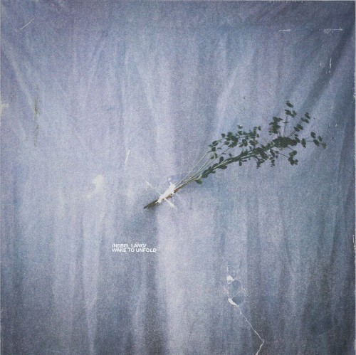 Wake to Unfold
