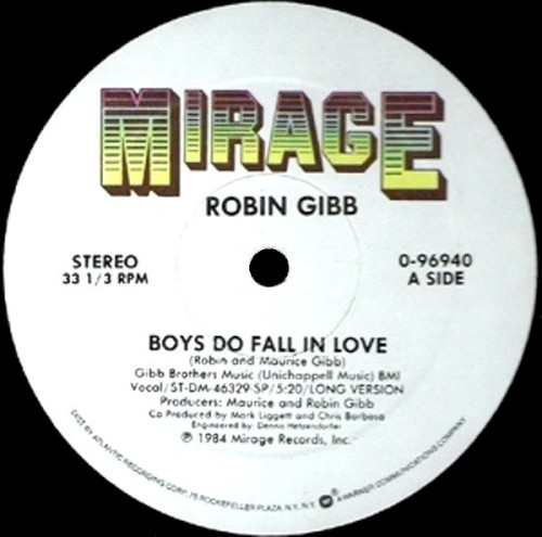 Boys Do Fall in Love
