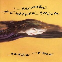 Seize Fire