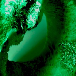 Aorte