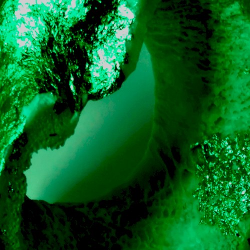 Aorte