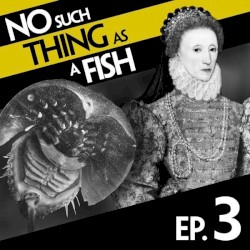 No Such Thing As A Fish #3, "No Such Thing As The Middle Ages"