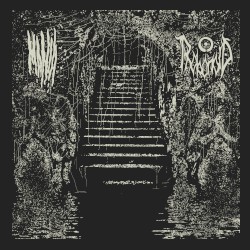 Phobonoid / Mania