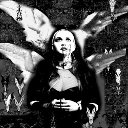 Half-Remembered Lore- The Beyonna Nuit Remixes